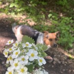 IMG_0041