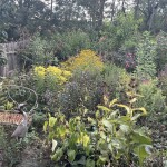 image6